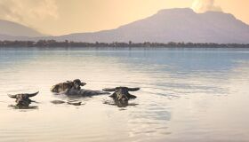 Champasak - Start your visa-prepared journey with Laos’ serene glow